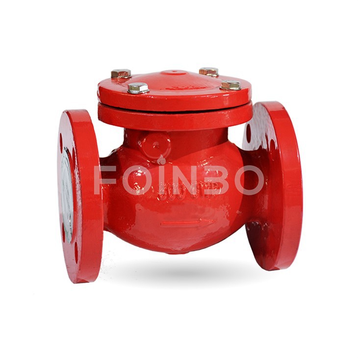 Swing Type Check Valve